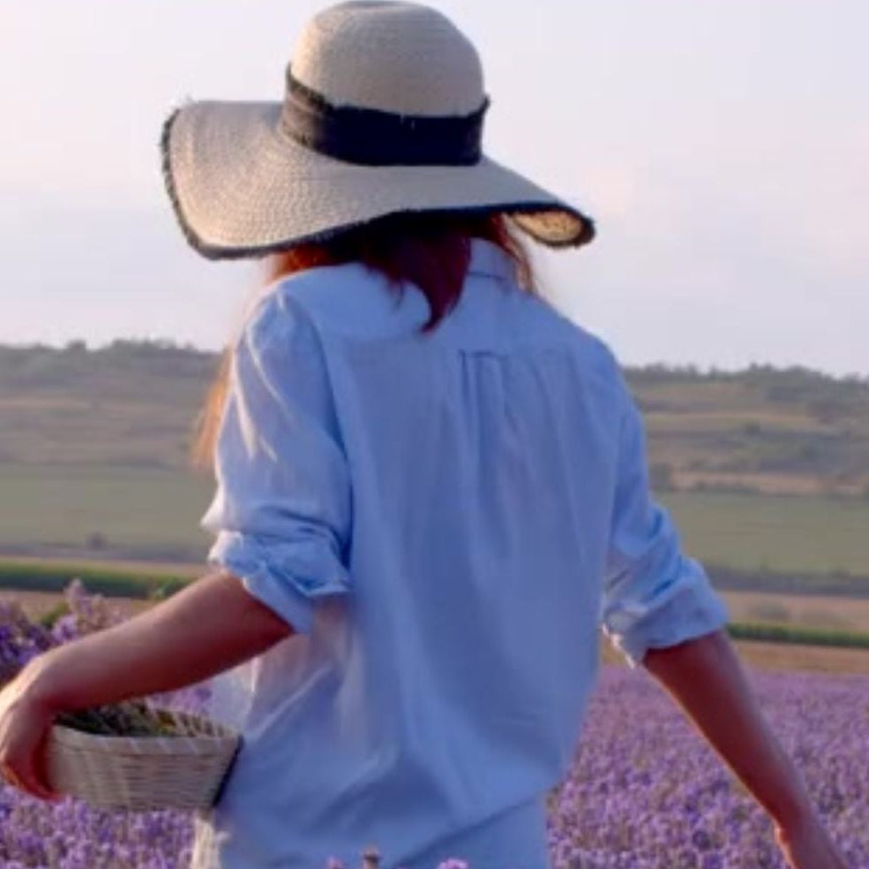 the best lavender body cream 
